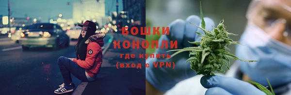 сатива Касимов