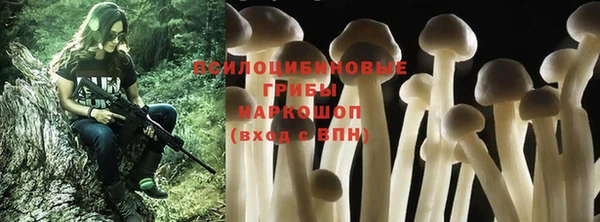 сатива Касимов
