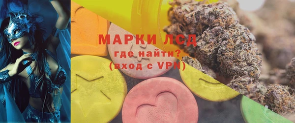гашик Каменка