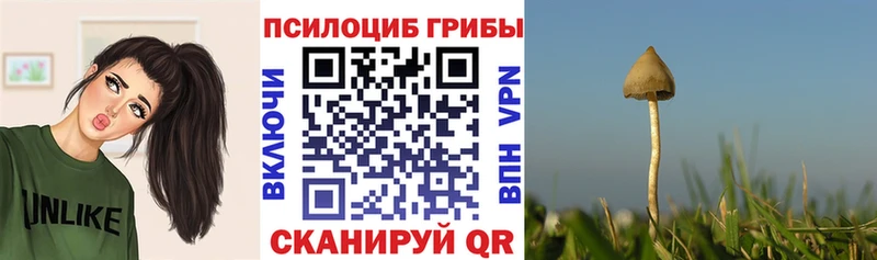 Псилоцибиновые грибы ЛСД  наркота  Кизел 